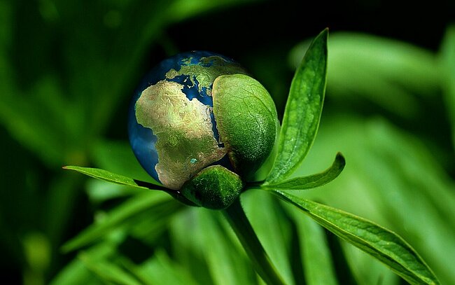 Ökologie Globus Konzept © geralt | Pixabay