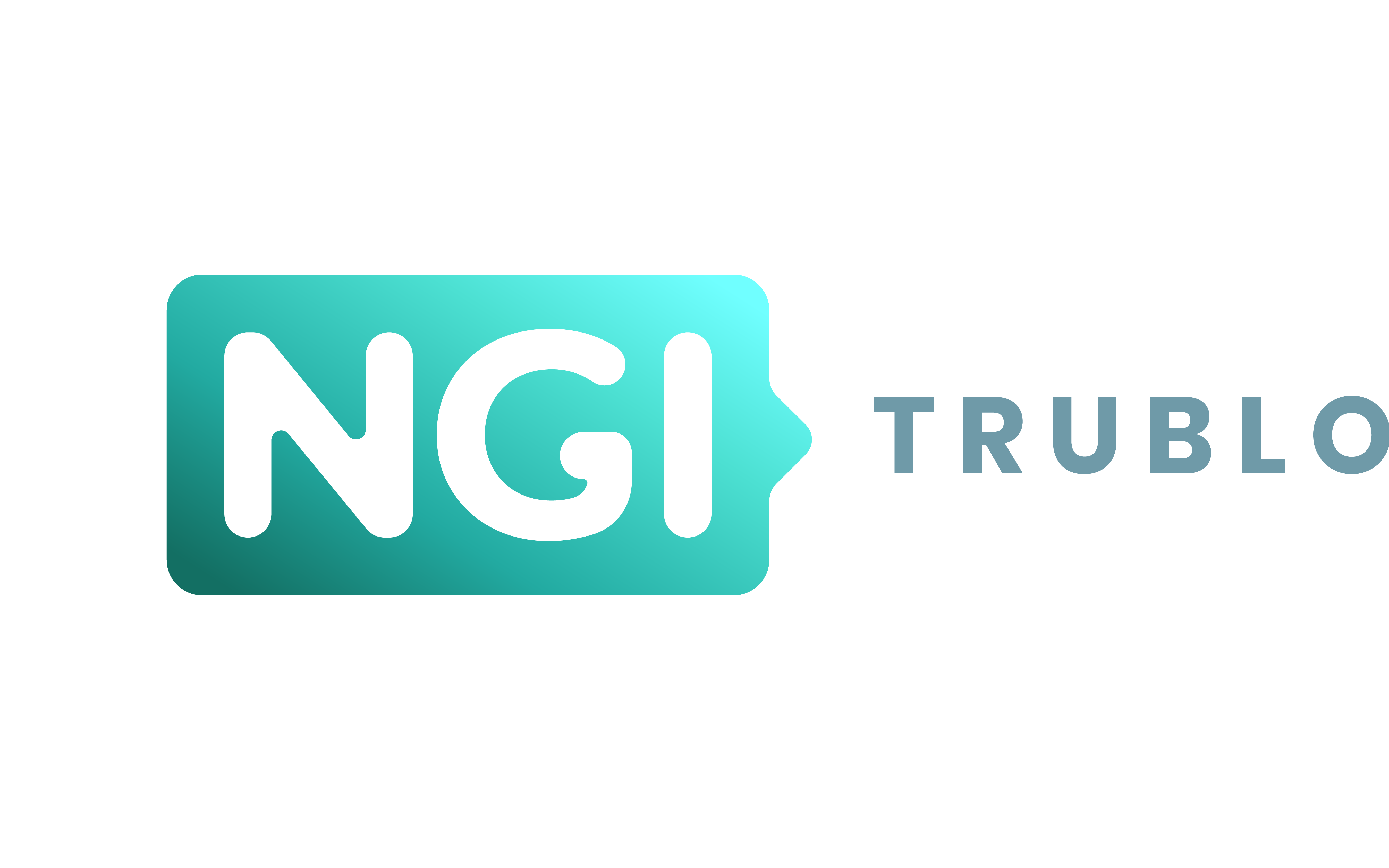 Türkis-weißes Logo von NGI Trublo.